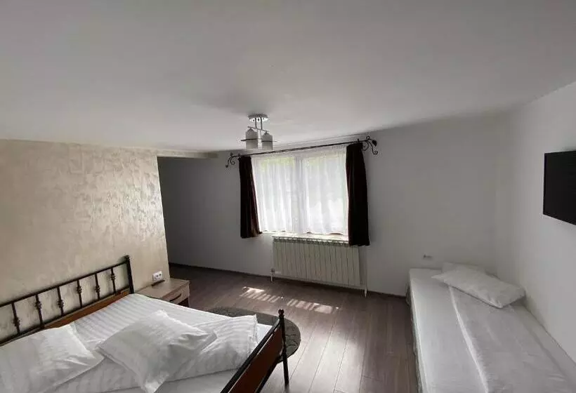 Pensiunea Casa Pancu