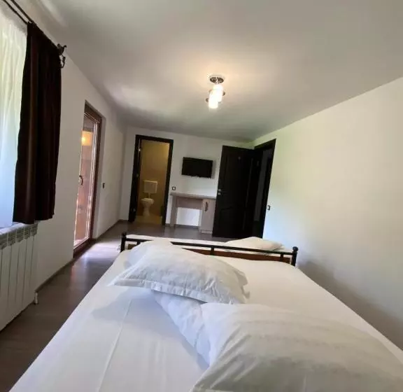 Pensiunea Casa Pancu