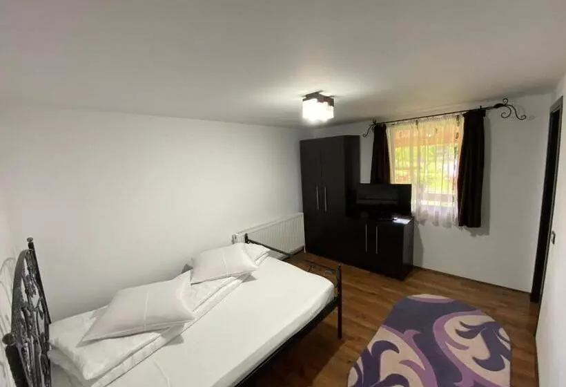 Pensiunea Casa Pancu