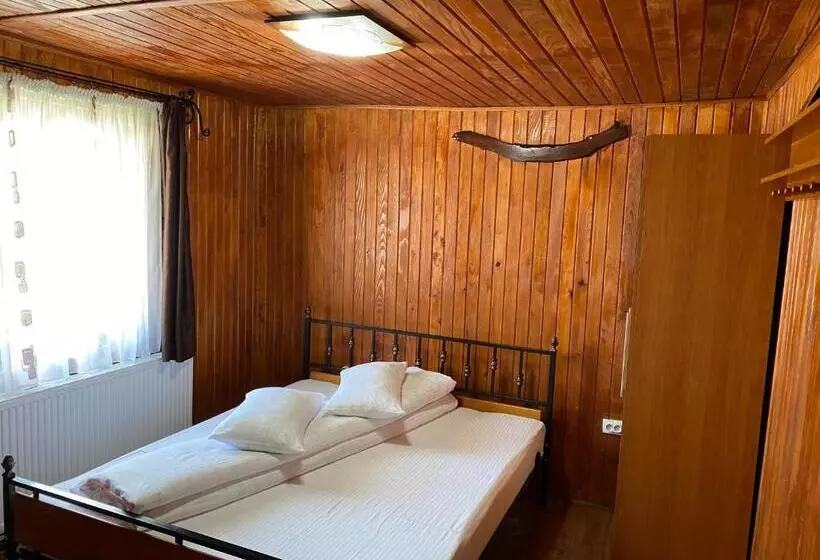 Pensiunea Casa Pancu