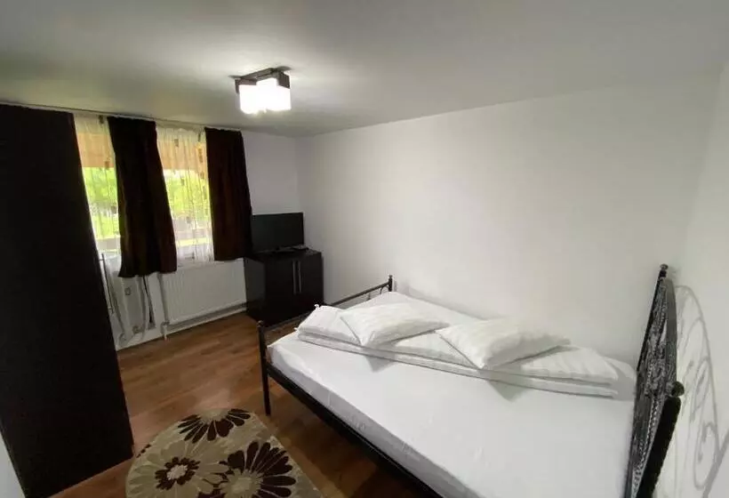 Pensiunea Casa Pancu