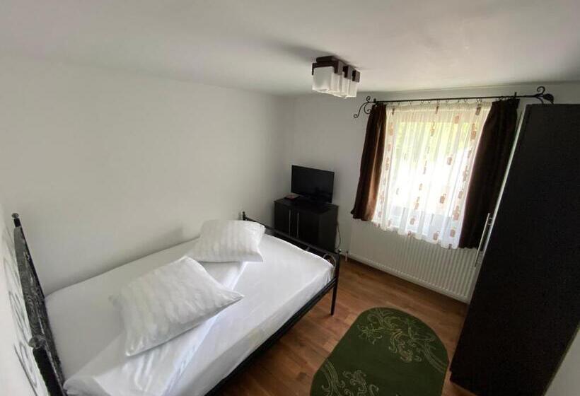 Pensiunea Casa Pancu