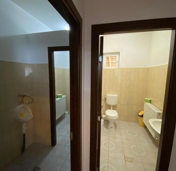 Pensiunea Casa Pancu