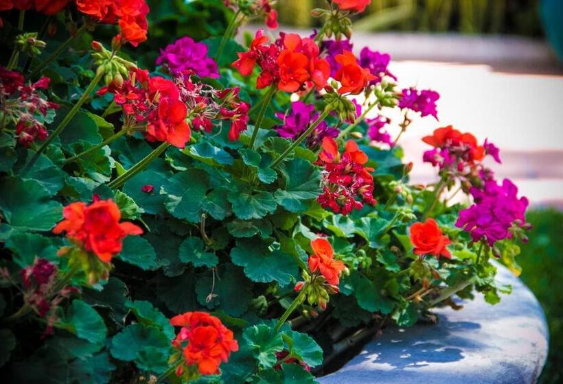 הוסטל Posada Margaritas