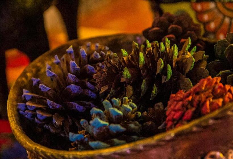 הוסטל Posada Margaritas