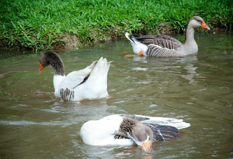 Отель Chácara Pimentão Vermelho
