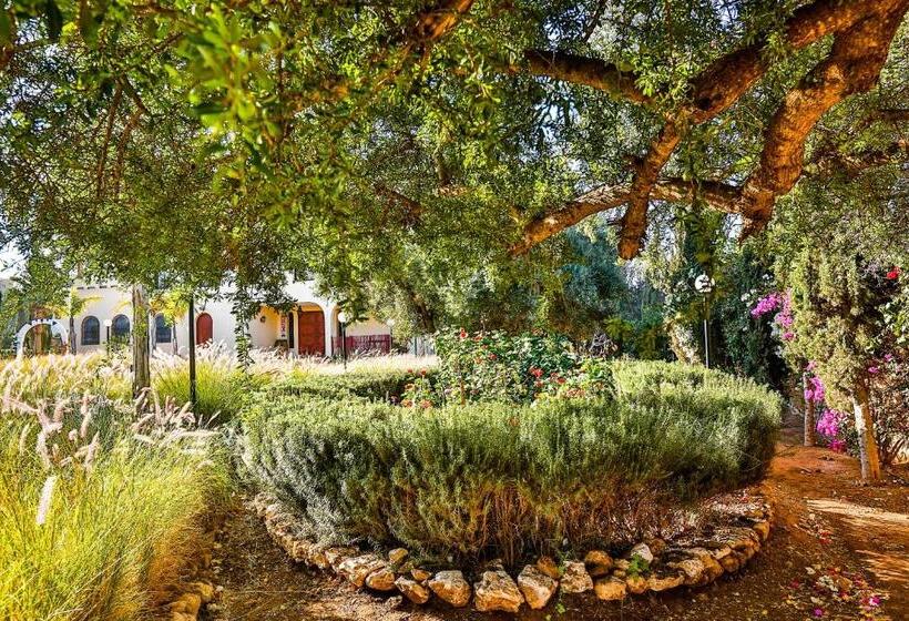 بنسيون Maison Kasba Bonheur & Bien Etre Emma & Gilles