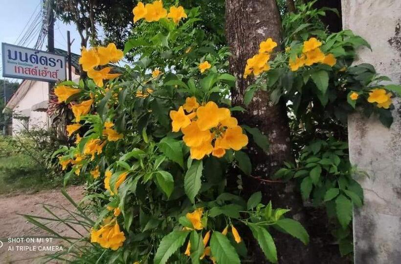 پانسیون Montra Guesthouse