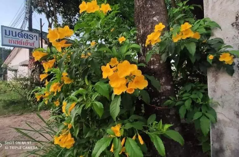 پانسیون Montra Guesthouse