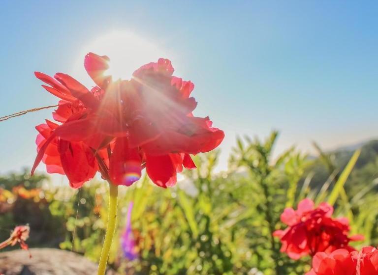 بنسيون Pousada Itaimbé