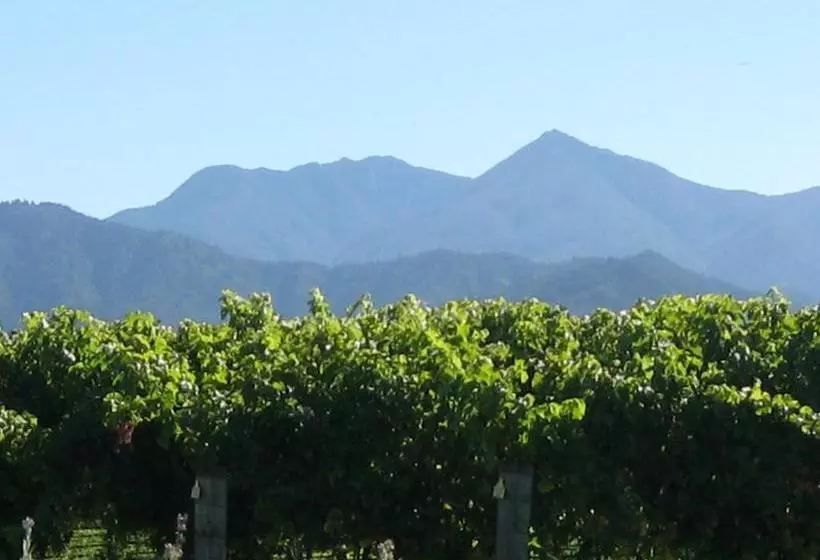 پانسیون Korohi Vineyard Bnb