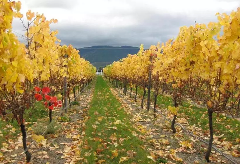 پانسیون Korohi Vineyard Bnb