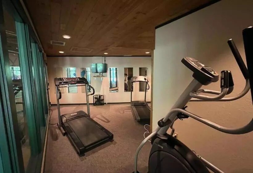 ホテル Whitetail Lodge