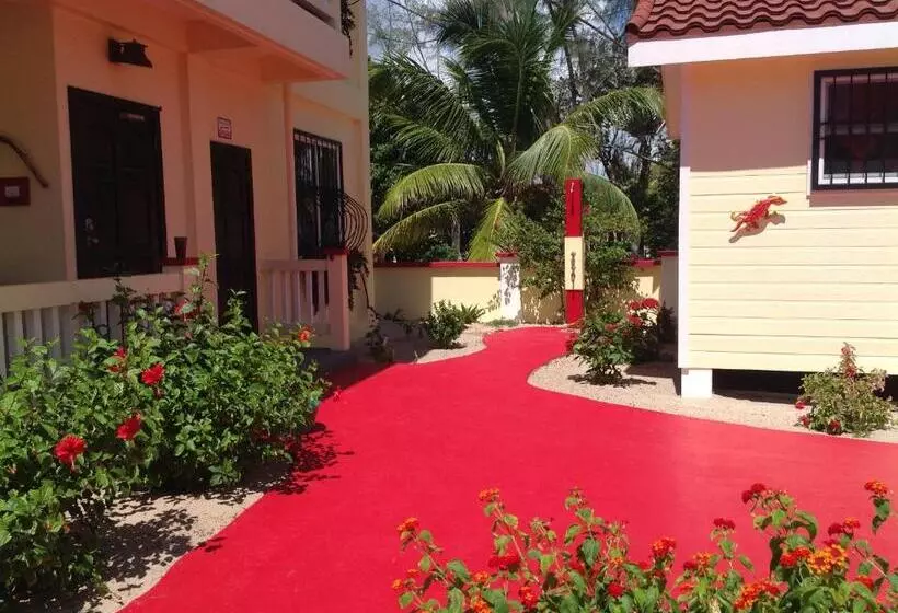 پانسیون Inn At White Horse Guest House