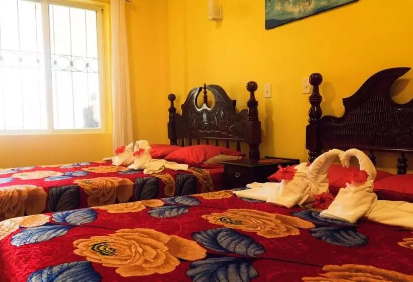 پانسیون Inn At White Horse Guest House