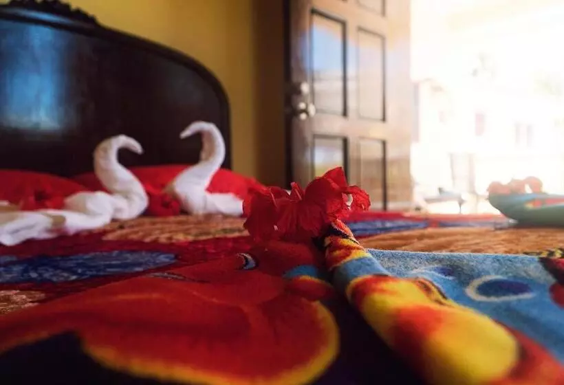 پانسیون Inn At White Horse Guest House