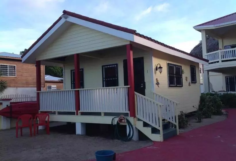 پانسیون Inn At White Horse Guest House