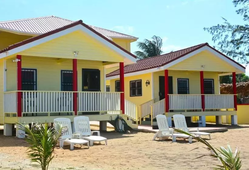 پانسیون Inn At White Horse Guest House