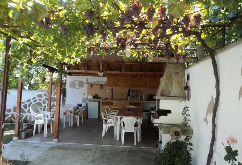 پانسیون Guest House Drazhev