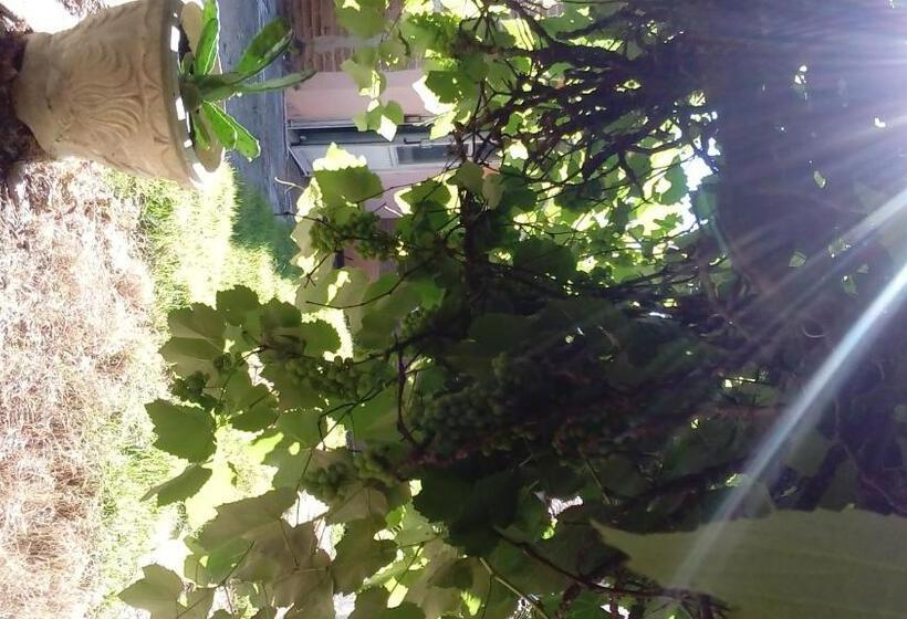 Pansiyon Pousada Danza   Centro