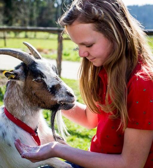 Отель Familienparadies Zeislerhof