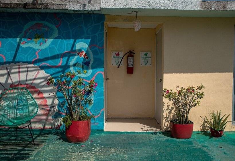 Pensionat Casa Wayak