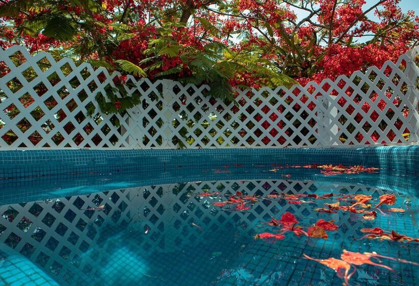 Pensionat Casa Wayak