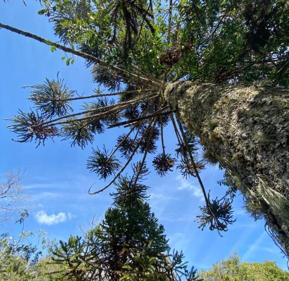 Pensjonat Pousada Aguaraguazu