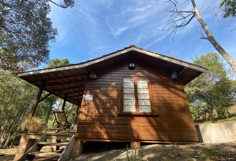 Pensjonat Pousada Aguaraguazu