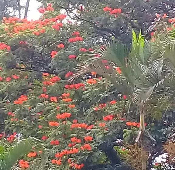 فندق Eco Pousada Sinhá Ruth