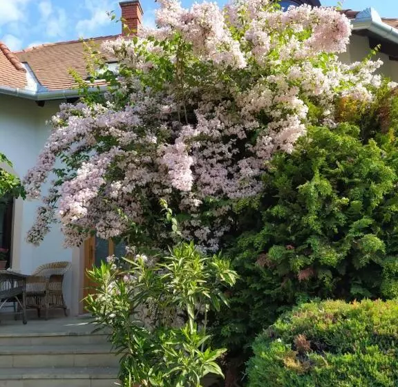 Majatalo Frutta Villa