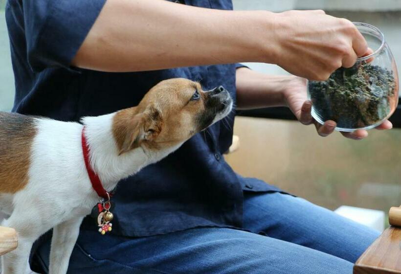 Panzió 58 Inn Lijiang