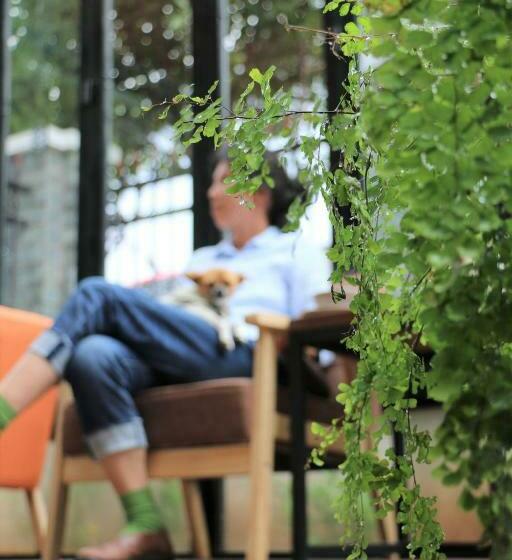 Panzió 58 Inn Lijiang