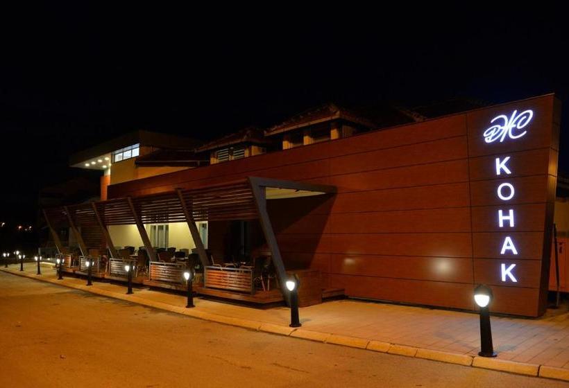 پانسیون Konak Zivojinovic