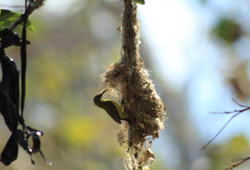 ペンション Lala Home Stay