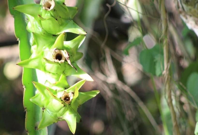 ペンション Lala Home Stay