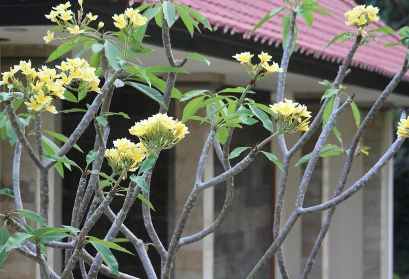 ペンション Lala Home Stay