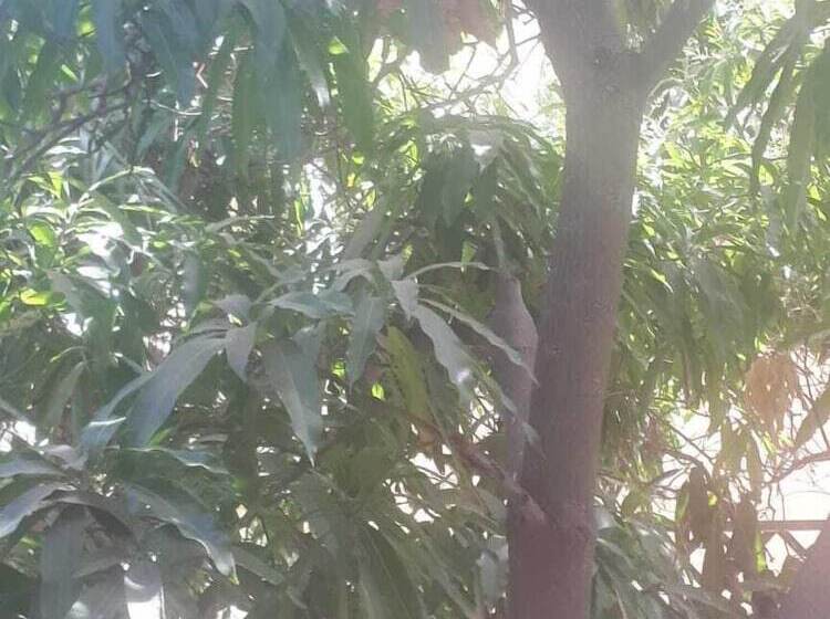 Pension Syds Guesthouse I