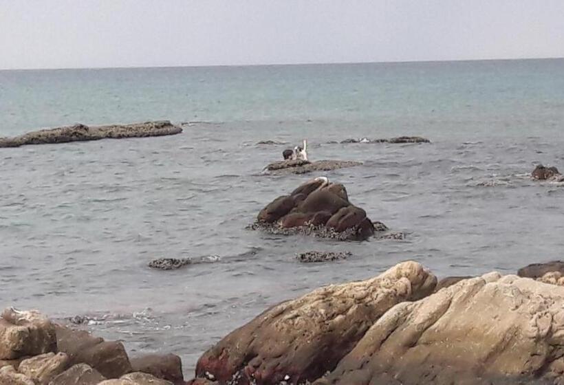 بنسيون Vibushan Guest House