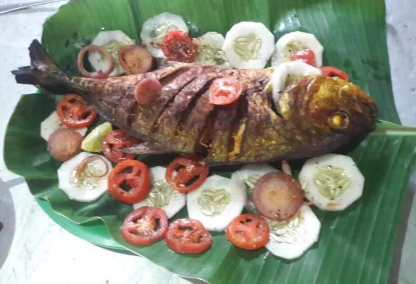 Majatalo Vibushan Guest House