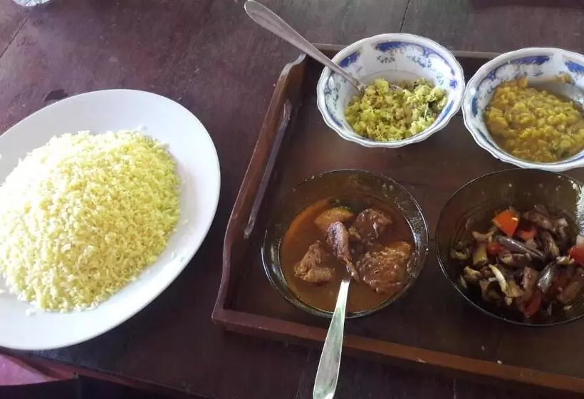 Majatalo Vibushan Guest House