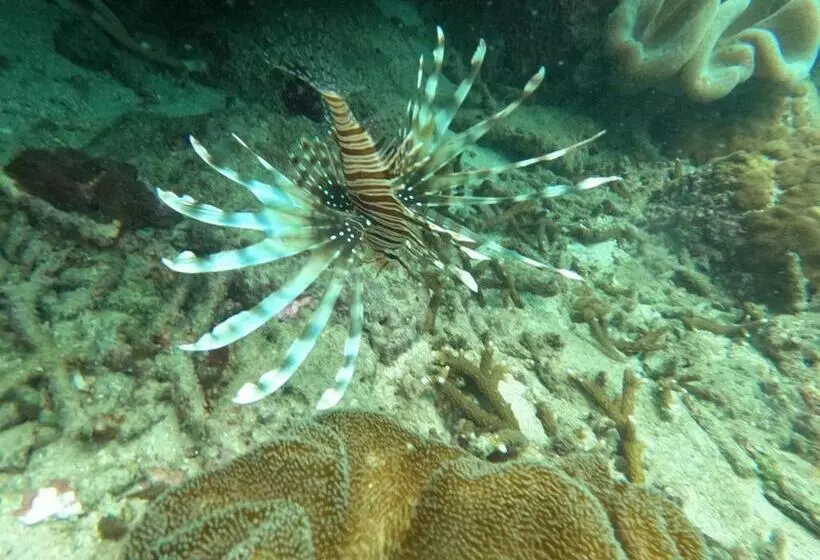 Majatalo Vibushan Guest House