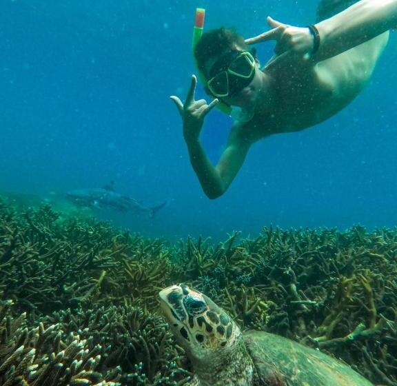 بنسيون Vibushan Guest House