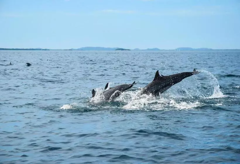 Majatalo Vibushan Guest House