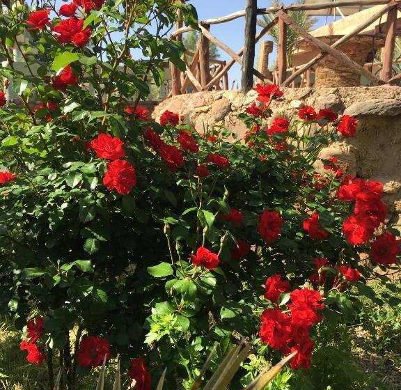 Alberg Kasbah Tiriguioute