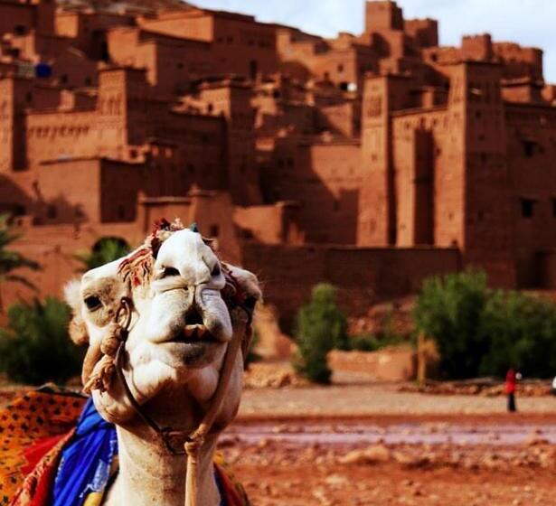 Alberg Kasbah Tiriguioute