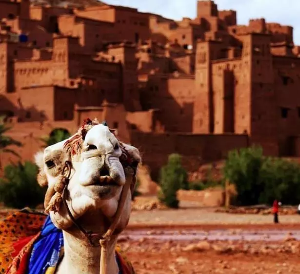 ユースホステル Kasbah Tiriguioute
