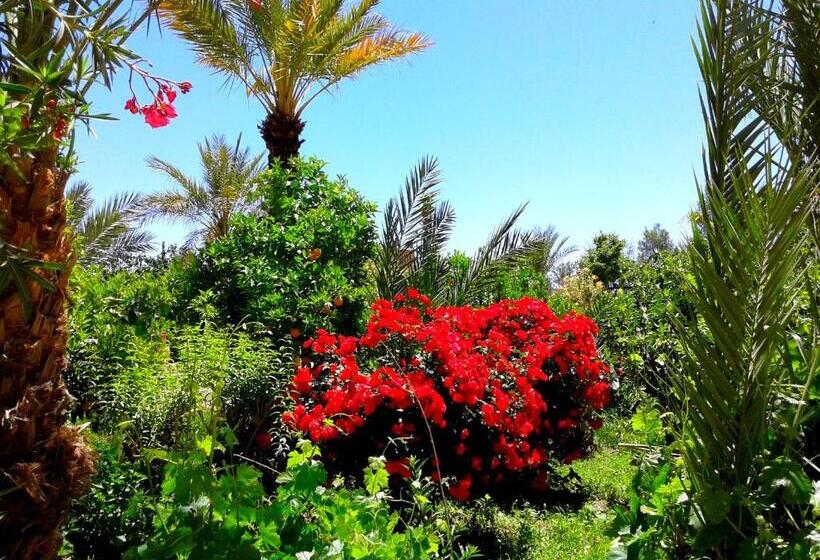 Alberg Kasbah Tiriguioute