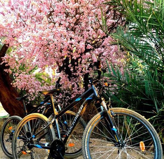 Alberg Kasbah Tiriguioute