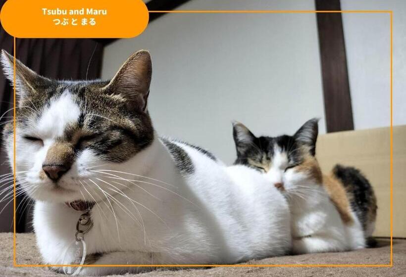 Pensione Sansan Yuzawa Backpackers